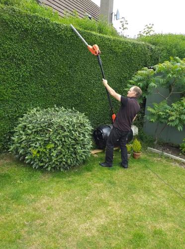 Hedge Cutting Services
